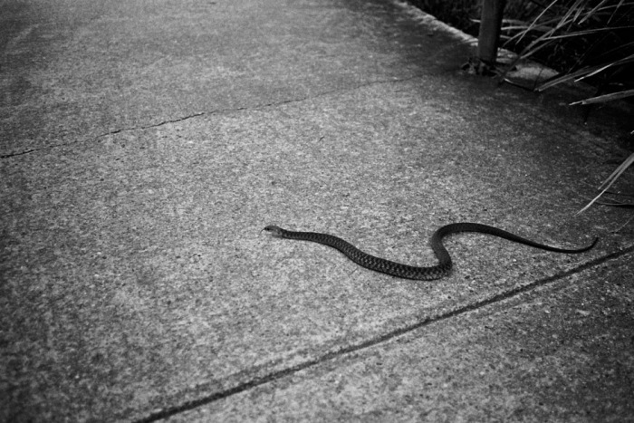 film_australia-19