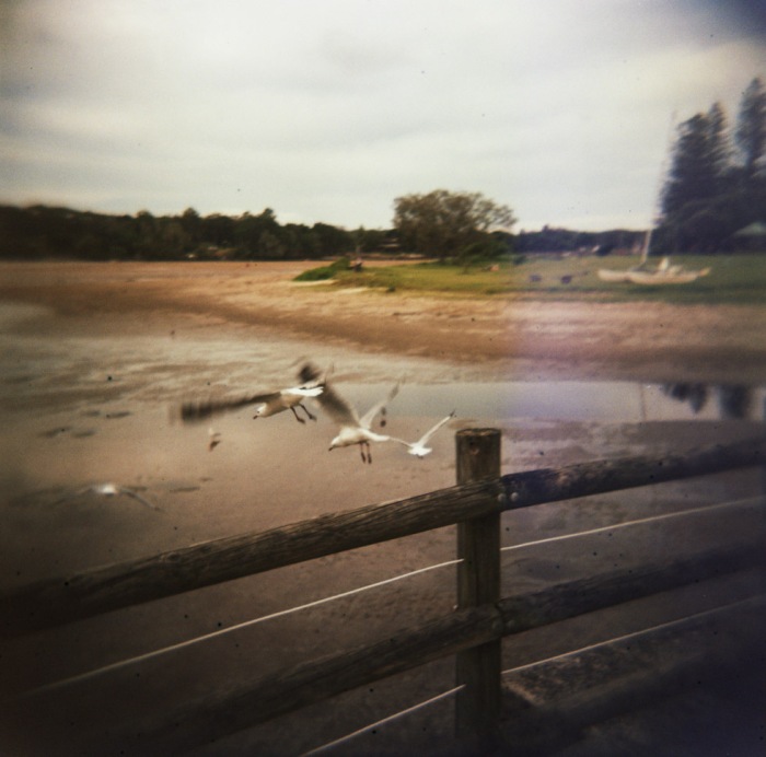 lomo-1