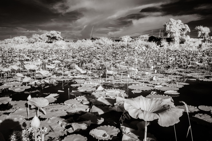infrared_cambodia-22